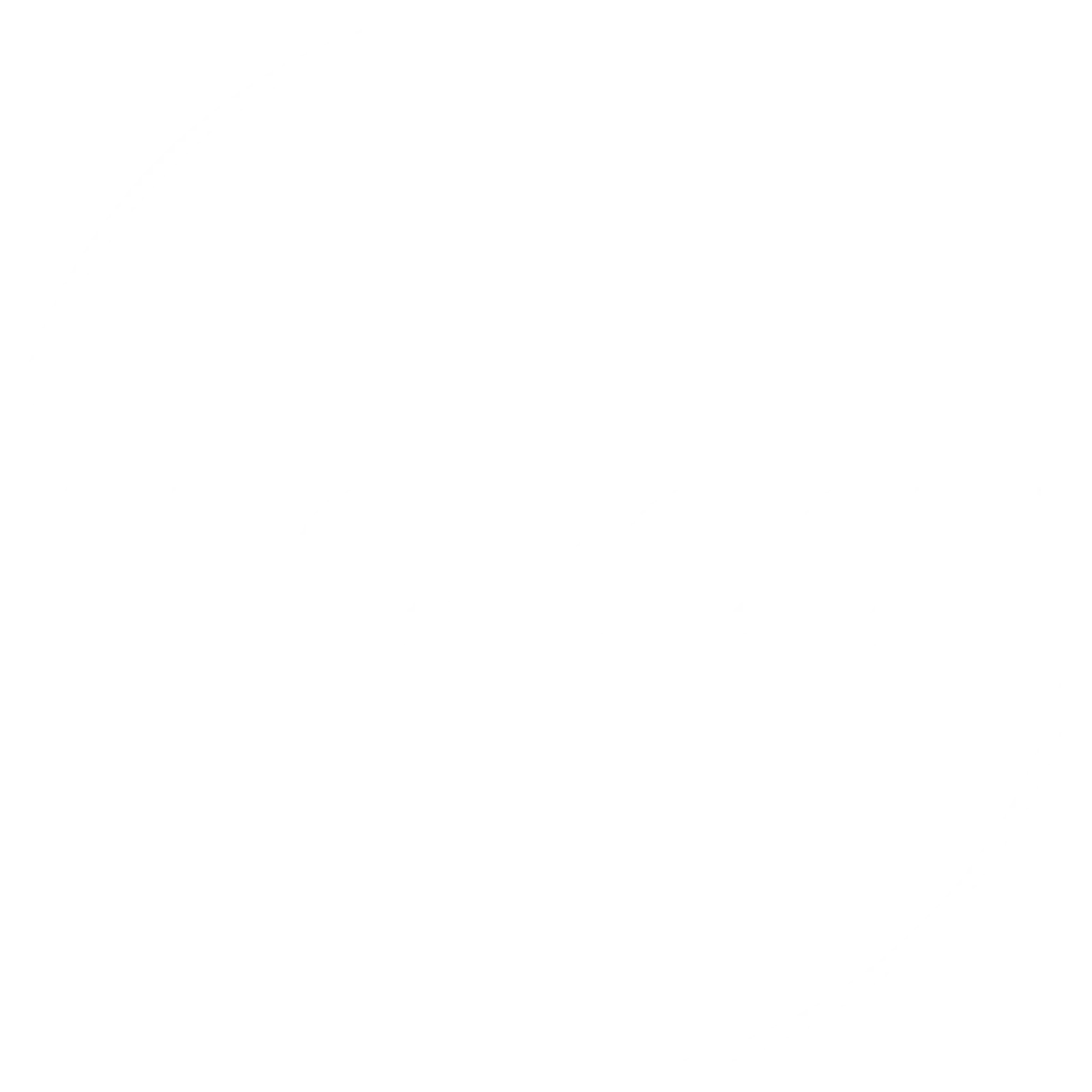 The Bash