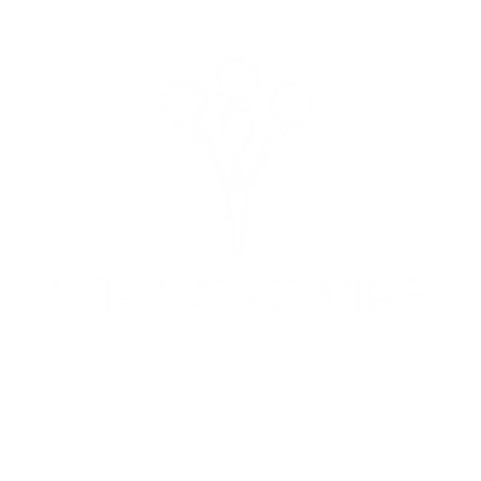 WeddingWire